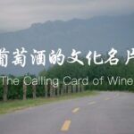 From Ningxia to the World: Yuan Yuan's Mission to Spread Chinese Wine Culture video poster