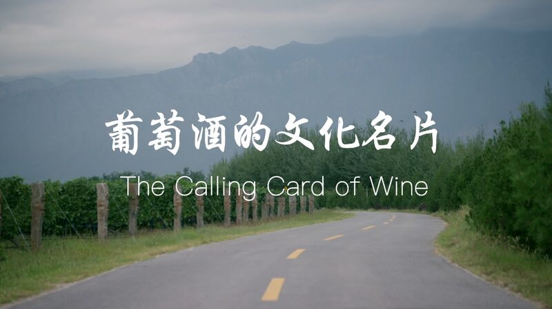 From_Ningxia_to_the_World_Yuan_Yuans_Mission_to_Spread_Chinese_Wine_Culture_poster - Khabar Asia From Ningxia to the World: Yuan Yuan's Mission to Spread Chinese Wine Culture video poster