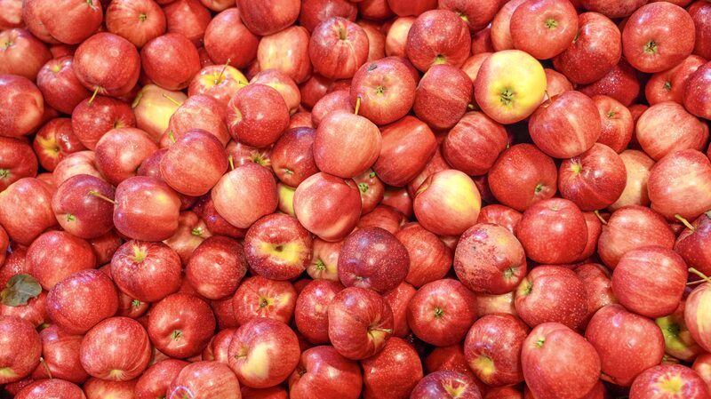 From Orchards to Tables: The Journey of New Zealand's Gala Apples to the Chinese Mainland
