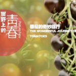 From PhD Aspirations to Agricultural Innovation: Xu Dan's Impact on China's Farming Communities video poster