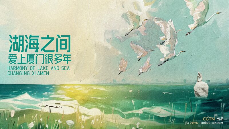 From_Pollution_to_Paradise_The_Transformation_of_Xiamens_Yundang_Lake_poster - Khabar Asia From Pollution to Paradise: The Transformation of Xiamen's Yundang Lake video poster