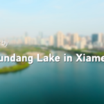 From_Pollution_to_Paradise__Yundang_Lake_Becomes_Egret_Habitat_in_Xiamen video poster