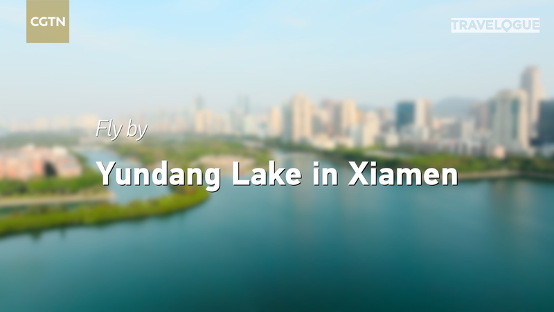 From_Pollution_to_Paradise__Yundang_Lake_Becomes_Egret_Habitat_in_Xiamen_poster - Khabar Asia From_Pollution_to_Paradise__Yundang_Lake_Becomes_Egret_Habitat_in_Xiamen video poster