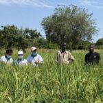 From_Poverty_to_Prosperity__China_s_Blueprint_for_Africa_s_Development