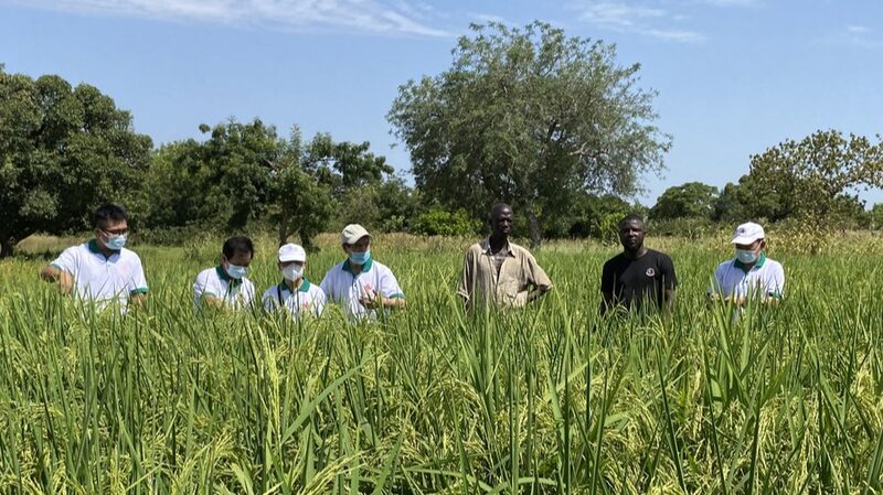 From_Poverty_to_Prosperity__China_s_Blueprint_for_Africa_s_Development - Khabar Asia From_Poverty_to_Prosperity__China_s_Blueprint_for_Africa_s_Development