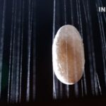 From_Silkworm_to_Art__The_Enduring_Legacy_of_Silk_in_Chinese_Culture