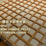 From Soybeans to Tables: Shipai Town's Tofu Tradition Goes Global video poster