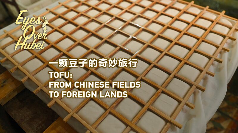 From_Soybeans_to_Tables_Shipai_Towns_Tofu_Tradition_Goes_Global_poster - Khabar Asia From Soybeans to Tables: Shipai Town's Tofu Tradition Goes Global video poster