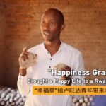 From_Struggle_to_Success__How__Happiness_Grass__Transformed_a_Rwandan_Family video poster