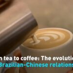 From_Tea_Seeds_to_Strategic_Partners__The_Evolution_of_Chinese_Brazilian_Relations video poster