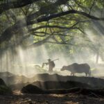 Fujian: China's Coastal Gem Rich in Maritime and Forest Wonders