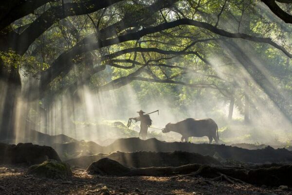 Fujian: China’s Coastal Gem Rich in Maritime and Forest Wonders Fujian: China's Coastal Gem Rich in Maritime and Forest Wonders