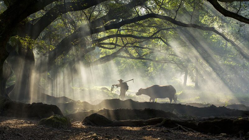 Fujian_Chinas_Coastal_Gem_Rich_in_Maritime_and_Forest_Wonders - Khabar Asia Fujian: China's Coastal Gem Rich in Maritime and Forest Wonders