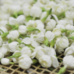 Fujian: China's Tea Powerhouse Brewing Prosperity and Tradition