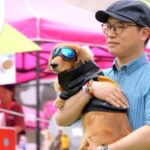 Furry Fashionistas: Pets and Owners Shine on Beijing's Runway video poster