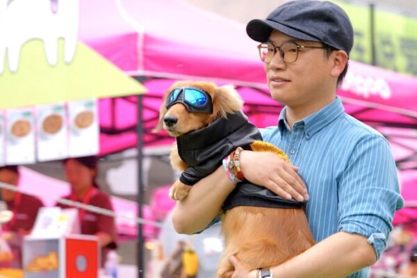 Furry Fashionistas: Pets and Owners Shine on Beijing’s Runway Furry Fashionistas: Pets and Owners Shine on Beijing's Runway video poster