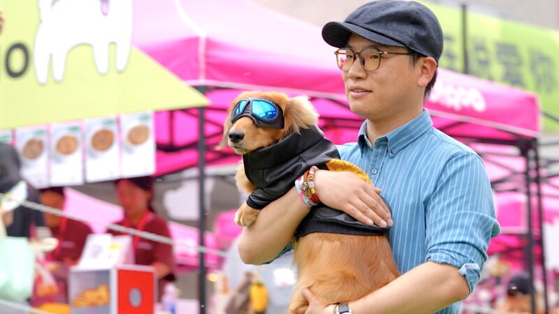 Furry_Fashionistas_Pets_and_Owners_Shine_on_Beijings_Runway_poster - Khabar Asia Furry Fashionistas: Pets and Owners Shine on Beijing's Runway video poster