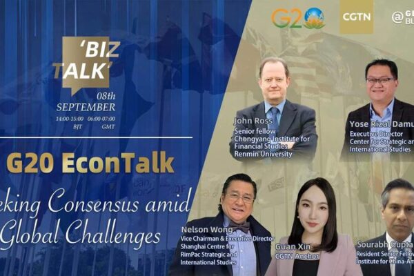 G20 Summit 2023: Experts Discuss China's Role in Global Economic Collaboration video poster