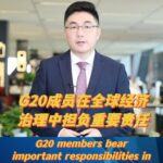 G20_Summit_in_Brazil_Highlights_Global_Economic_Governance video poster