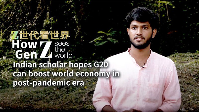 G20 Summit in New Delhi Aims to Boost Post-Pandemic Global Economy video poster
