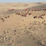 Gansu Province Launches Ambitious Afforestation Plan to Combat Desertification video poster