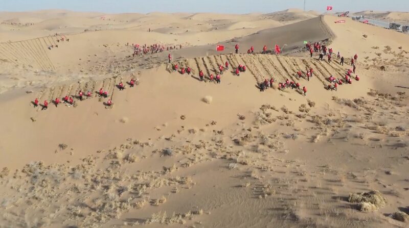 Gansu_Province_Launches_Ambitious_Afforestation_Plan_to_Combat_Desertification_poster - Khabar Asia Gansu Province Launches Ambitious Afforestation Plan to Combat Desertification video poster