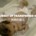 Gaza's Newborns Journey to Safety: The Remarkable Survival of Baby Malak video poster