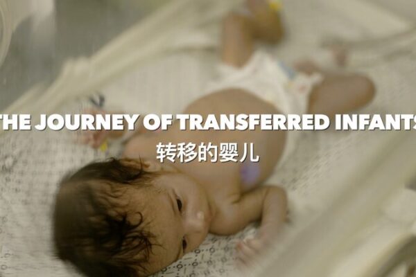 Gaza’s Newborns Journey to Safety: The Remarkable Survival of Baby Malak Gaza's Newborns Journey to Safety: The Remarkable Survival of Baby Malak video poster