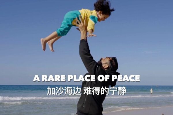 Gaza’s Southern Coast: A Rare Oasis Amid Ceasefire Tensions Gaza's Southern Coast: A Rare Oasis Amid Ceasefire Tensions video poster