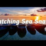 Generations_at_Sea__A_Father_Son_Journey_in_the_South_China_Sea video poster