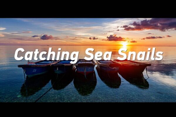 Generations at Sea: A Father-Son Journey in the South China Sea Generations_at_Sea__A_Father_Son_Journey_in_the_South_China_Sea video poster