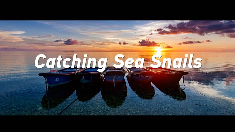 Generations_of_Sea_Snail_Harvesting__A_Father_and_Son_s_Journey_in_the_South_China_Sea_poster - Khabar Asia Generations_of_Sea_Snail_Harvesting__A_Father_and_Son_s_Journey_in_the_South_China_Sea video poster