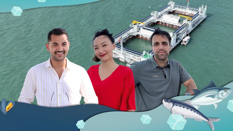 Gesheng_No__1__China_s_High_Tech_Leap_in_Sustainable_Marine_Farming_poster - Khabar Asia Gesheng_No__1__China_s_High_Tech_Leap_in_Sustainable_Marine_Farming video poster