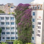 Giant Bougainvillea Transforms Nanning Campus Building into Floral Spectacle