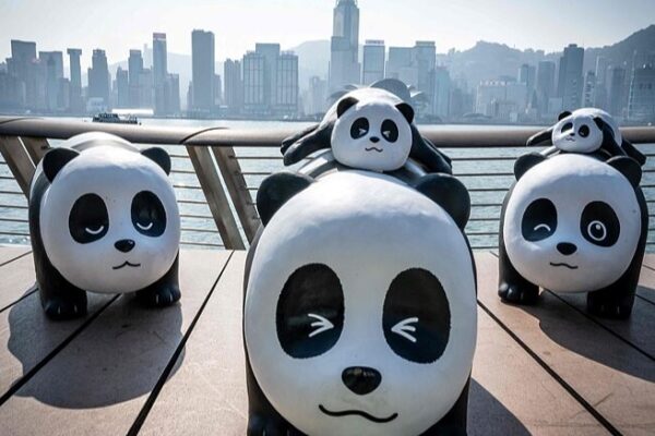 Giant Panda Sculptures Draw Crowds on Hong Kong Tour Giant_Panda_Sculptures_Draw_Crowds_on_Hong_Kong_Tour