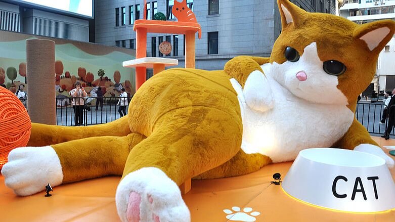 Giant__Cat__Installation_Steals_the_Show_at_Shanghai_s_The_Bund - Khabar Asia Giant__Cat__Installation_Steals_the_Show_at_Shanghai_s_The_Bund