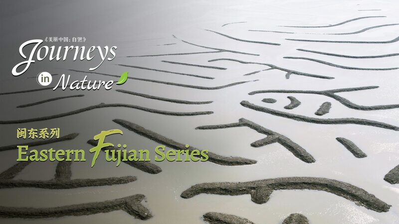 Gifts from the Sea: Xiapu's Generations of Ocean Harvesting video poster