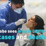 Global COVID-19 Cases and Deaths Decline for Consecutive Weeks: WHO Reports