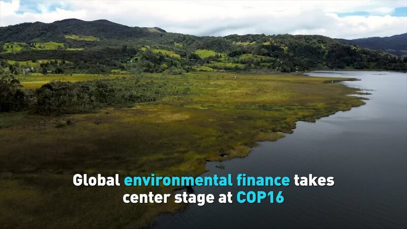 Global_Environmental_Finance_Takes_Center_Stage_at_COP16 video poster