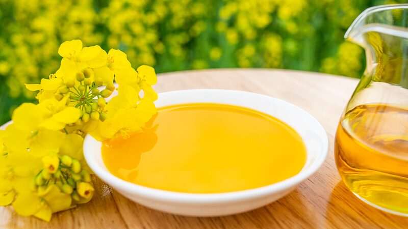 Global_Food_Prices_Rise_for_First_Time_in_Seven_Months_Driven_by_Vegetable_Oils - Khabar Asia Global Food Prices Rise for First Time in Seven Months, Driven by Vegetable Oils