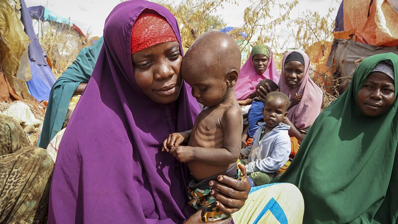 Global Hunger Crisis Worsens Despite Record Food Production