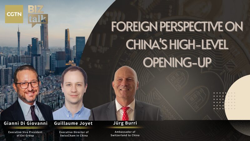 Global_Leaders_Discuss_China_s_High_Level_Opening_Up_on_BizTalk video poster