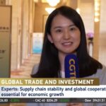 Global Leaders Unveil Beijing Initiative to Boost Economic Recovery video poster