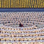 Global_Martial_Arts_Masters_Showcase_Skills_at_13th_Shaolin_Wushu_Festival_in_Henan