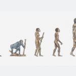 Global_Scientists_Advocate_for_African_Led_Research_to_Unlock_Human_Evolution - Khabar Asia Global_Scientists_Advocate_for_African_Led_Research_to_Unlock_Human_Evolution
