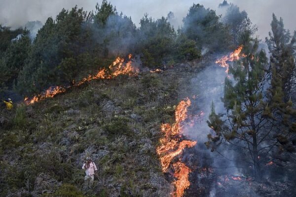 Global Temperatures Exceed 1.5°C Above Pre-Industrial Levels for First Time in 12-Month Span