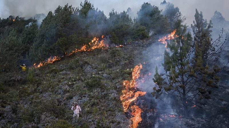 Global Temperatures Exceed 1.5°C Above Pre-Industrial Levels for First Time in 12-Month Span