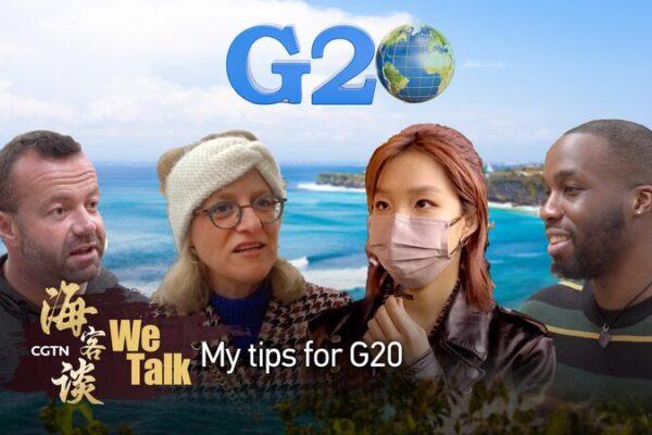 Global Voices Share Insights on Key Issues for G20 Summit video poster