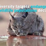 Global_Wildlife_Populations_Plummet_in_Last_50_Years__WWF_Report_Warns video poster