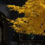 Golden_Autumn_Transforms_China_s_Juyongguan_Great_Wall_into_a_Scenic_Marvel